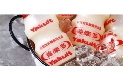 暢銷55年，養(yǎng)樂多品牌背后的故事