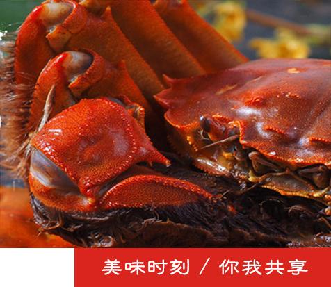 中國民族品牌網(wǎng)