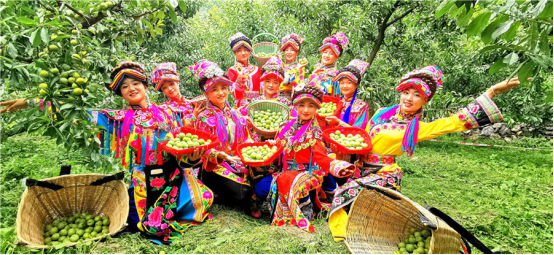 中國(guó)民族品牌