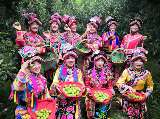 中國(guó)民族品牌網(wǎng)