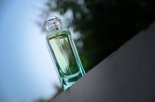 高檔香水：羨慕別人更出色？