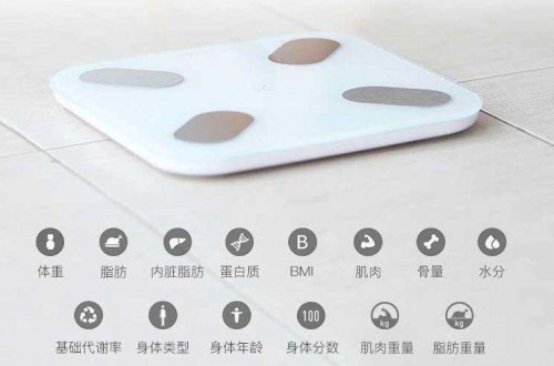 脂肪秤品牌哪個(gè)好？體脂稱的相關(guān)數(shù)據(jù)與使用原理