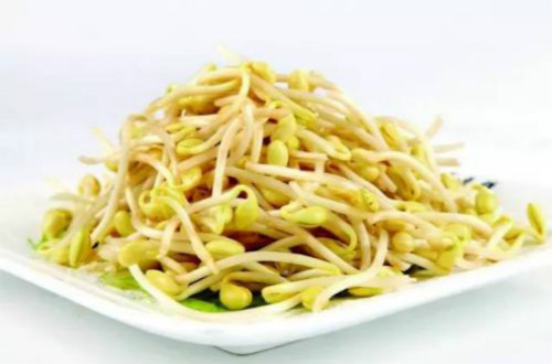 黃豆芽的營(yíng)養(yǎng)價(jià)值高么？經(jīng)常食用對(duì)我們有什么幫助？