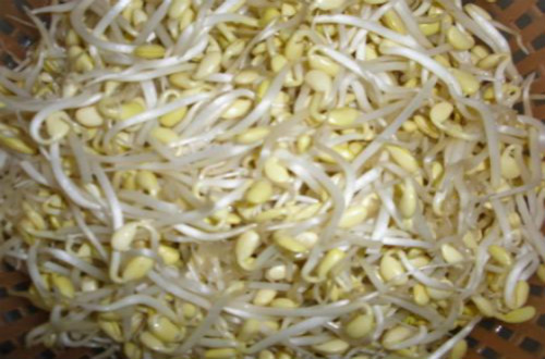 如何自己在家發(fā)黃豆芽？需要哪些步驟？
