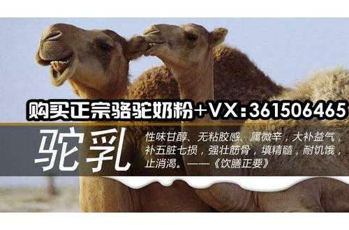 哪個牌子的駱駝奶粉好？喝駱駝奶粉有什么功效？