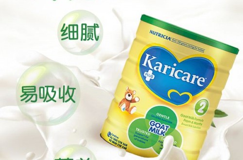 羊奶粉十大品牌排行榜 哪個(gè)品牌的羊奶粉更值得媽媽信賴？