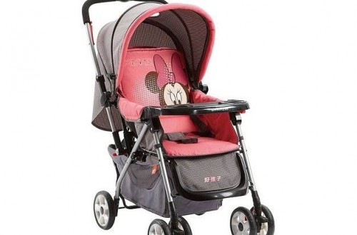 童車哪個(gè)牌子好 最新中國(guó)童車十大品牌排名