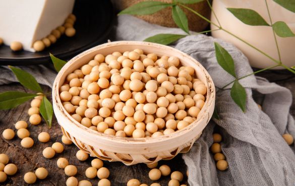 美容護(hù)膚常識：初冬美容護(hù)膚食品推薦