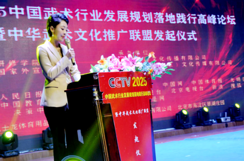 構(gòu)建中國(guó)武術(shù)名家人才數(shù)據(jù)庫(kù) 打造互聯(lián)網(wǎng)+的武術(shù)傳播新格局