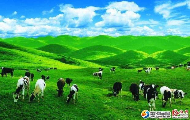 南山乳業(yè)：攻克難關(guān) 不斷提高牛奶質(zhì)量