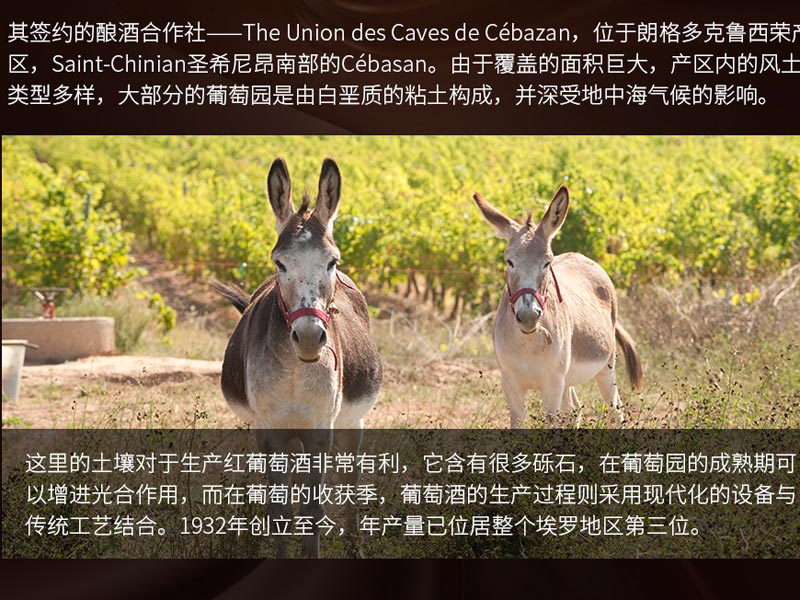 中國(guó)民族品牌網(wǎng)