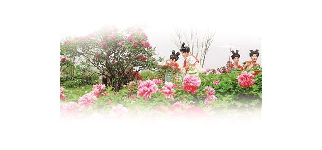圍繞推動(dòng)文化和旅游融合發(fā)展，我市將著力打造一批能立、能呼、能傳的知名品牌。