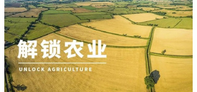 高啟杰等：三大電商平臺(tái)上，優(yōu)勢(shì)區(qū)域特色品牌占據(jù)較大市場(chǎng)份額