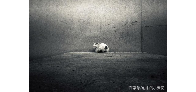 關(guān)于現(xiàn)代的「未來自閉癥」，專家怎么說？