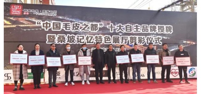 南莊鎮(zhèn)桑坡村十大自主品牌榮耀出爐！