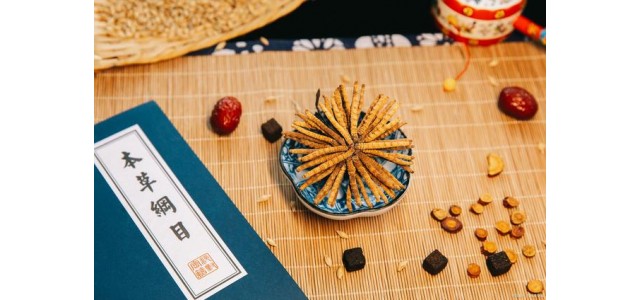 中藥第一民族品牌，股價(jià)從163元跌到53元，曾經(jīng)的龍頭還能漲嗎？