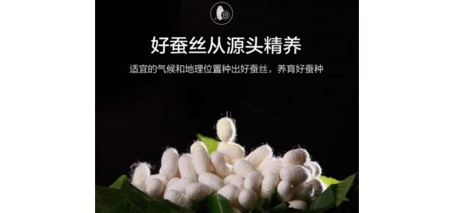 雙人蠶絲被哪個(gè)牌子好？